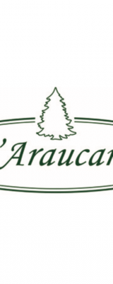 L’ Araucaria