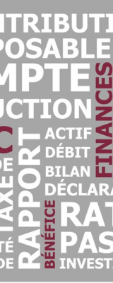 FIDUCIA PARTNER