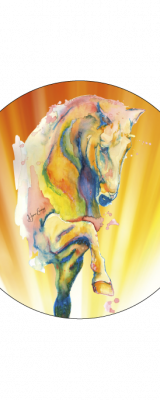 Horse Energy